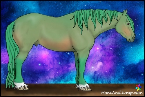 Horse Color:Watercolor Bay 