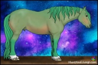 Horse Color:Watercolor Bay 