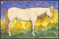 Horse Color:Gold Champagne Dun 