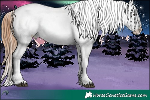 Horse Color:Bay Roan Snowflake Varnish 