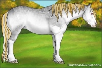 Horse Color:Painted Silver Brown Chinchilla Ice Onyx Splash Rabicano 