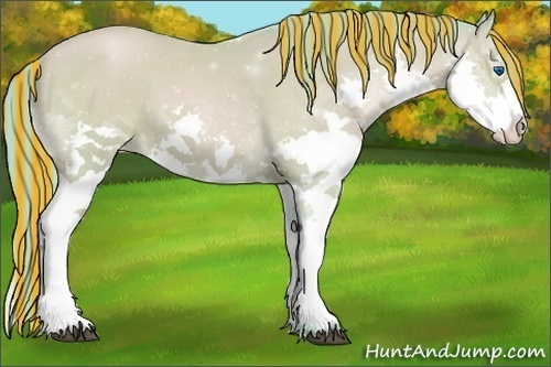 Horse Color:Painted Watercolor Black Pearl Sabino Splash Rabicano