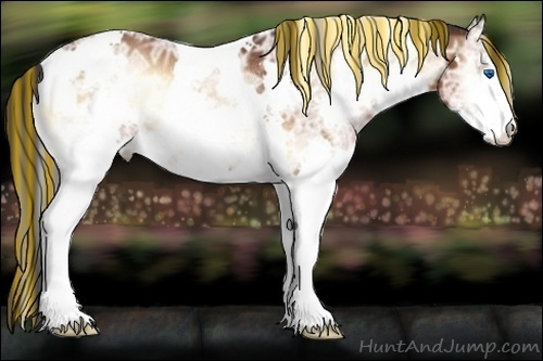 Horse Color:Painted White Spotted Bay Ice Onyx Sabino Splash Rabicano