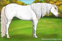 Horse Color:Silver Amber Champagne Dun Tobiano Frame Rabicano 