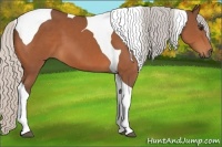Horse Color:Silver Bay Tobiano