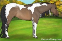 Horse Color:Brown Dun Tobiano Rabicano