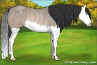 Horse Color:Brown Roan Dun Splash Rabicano