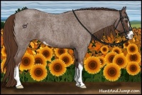 Horse Color:Liver Red Roan Sabino