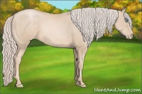 Horse Color:Palomino Pearl