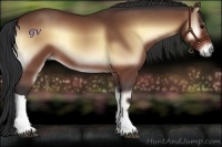 Horse Color:Bay Onyx 