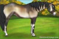 Horse Color:Brown Onyx Sabino