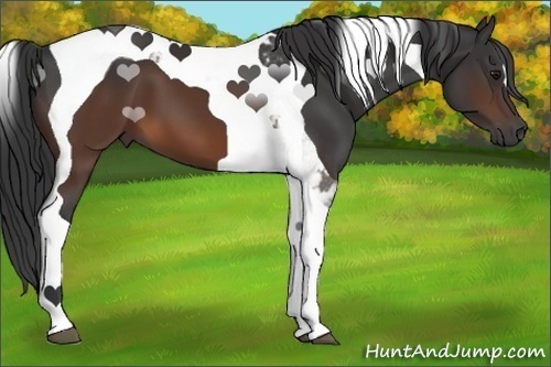 Horse Color:Brown Tobiano 