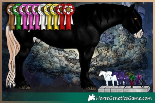 Horse Color:Brown Ice Pearl Appaloosa 