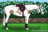 Horse Color:Chocolate Palomino Splash Tobiano 