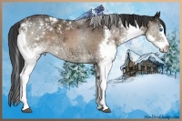 Horse Color:Brown Ice Sabino Splash Rabicano