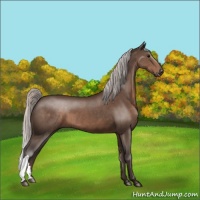 Horse Color:Silver Brown 