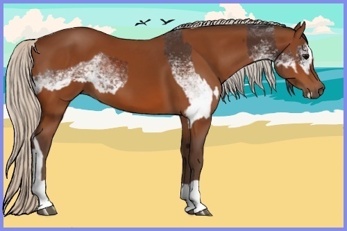 Horse Color:White Spotted Brown Splash  and Silver Bay 