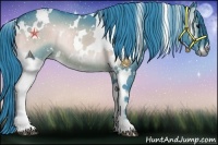 Horse Color:Watercolor White Spotted Brown Onyx Rabicano 