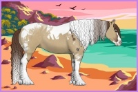 Horse Color:Liver Red Dun Splash Tobiano 