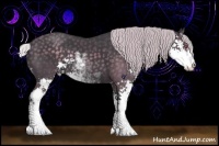 Horse Color:Silver Black Chinchilla Sabino