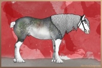 Horse Color:Silver Brown Chinchilla Splash 