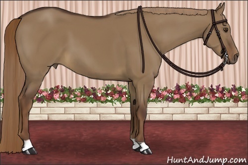 Horse Color:Liver Red Dun 