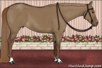 Horse Color:Liver Red Dun 