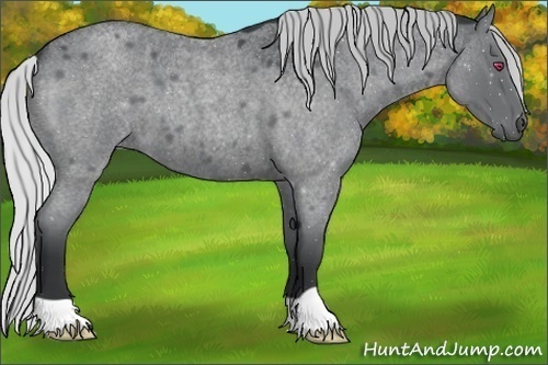 Horse Color:Silver Grullo Chinchilla Roan 