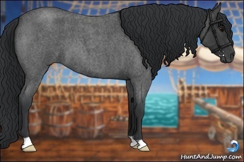 Horse Color:Blue Roan 