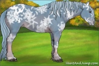 Horse Color:Watercolor Chocolate Palomino Ice Varnish Rabicano 