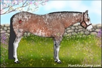 Horse Color:Brown Ice Sabino