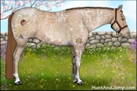 Horse Color:Brown Ice Pearl 