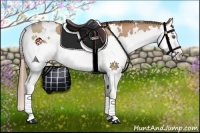 Horse Color:White Spotted Brown Pearl Splash 
