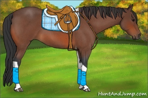 Horse Color:Bay Roan Tobiano 