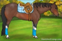 Horse Color:Bay Roan Tobiano