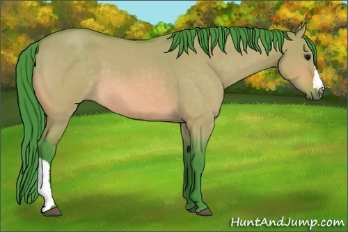 Horse Color:Watercolor Brown Roan Dun 