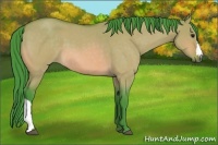 Horse Color:Watercolor Brown Roan Dun 