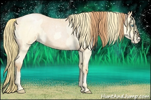 Horse Color:Buckskin Roan Pearl  and Buckskin Roan Pearl 