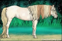 Horse Color:Buckskin Roan Pearl  and Buckskin Roan Pearl 