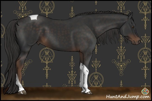 Horse Color:Liver Chestnut Tobiano 