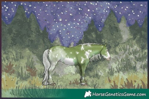 Horse Color:White Spotted Silver Sable Champagne Sabino Frame 