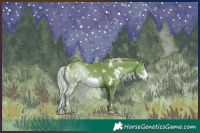 Horse Color:White Spotted Silver Sable Champagne Sabino Frame