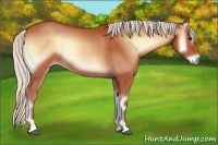 Horse Color:Silver Bay Onyx
