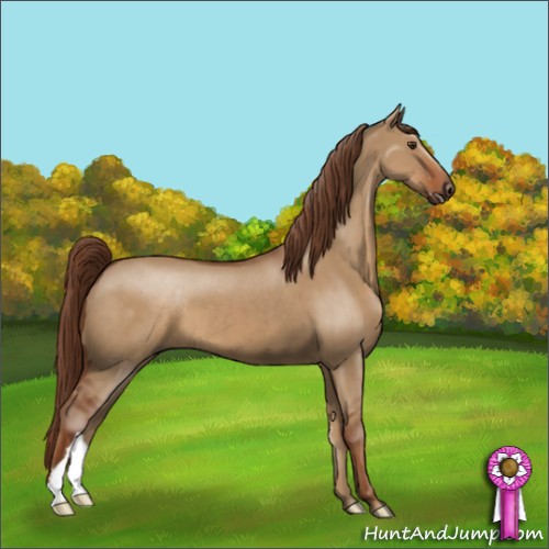 Horse Color:Red Dun 