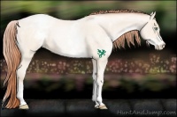 Horse Color:White Spotted Amber Cream Champagne Roan Pearl