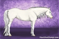 Horse Color:Silver Perlino Dun Tobiano