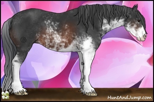 Horse Color:Brown Sabino