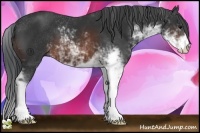 Horse Color:Brown Sabino 