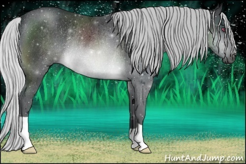 Horse Color:Silver Brown Chinchilla Rabicano 