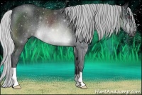 Horse Color:Silver Brown Chinchilla Rabicano 